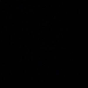 Meet your Posher, Hayden